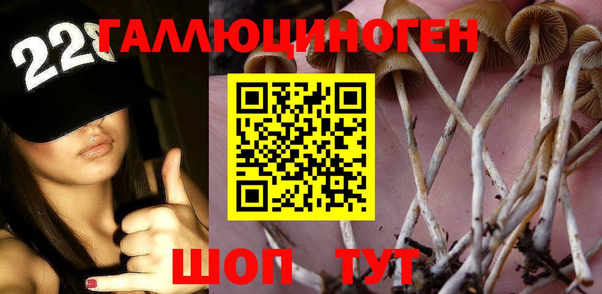 Псилоцибиновые грибы Magic Shrooms Сызрань
