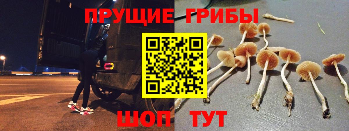 Сызрань  Псилоцибиновые грибы мицелий  Вход с VPN 